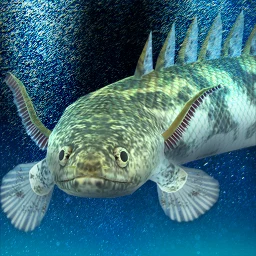 Ícone de My ancient fish Aquarium